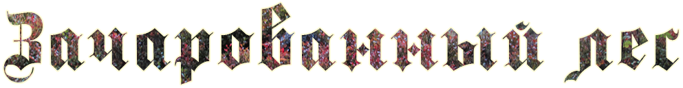 Зачарованный лес